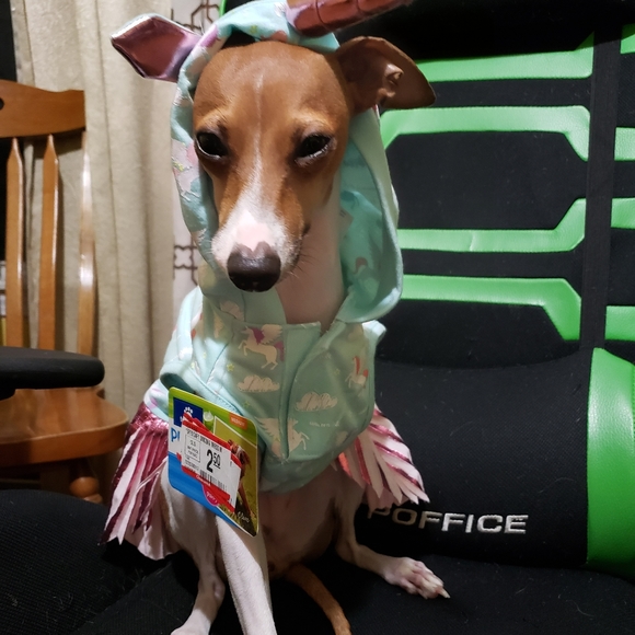 0 - Picture 11 of 11